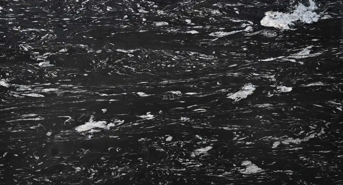 Jasper Black